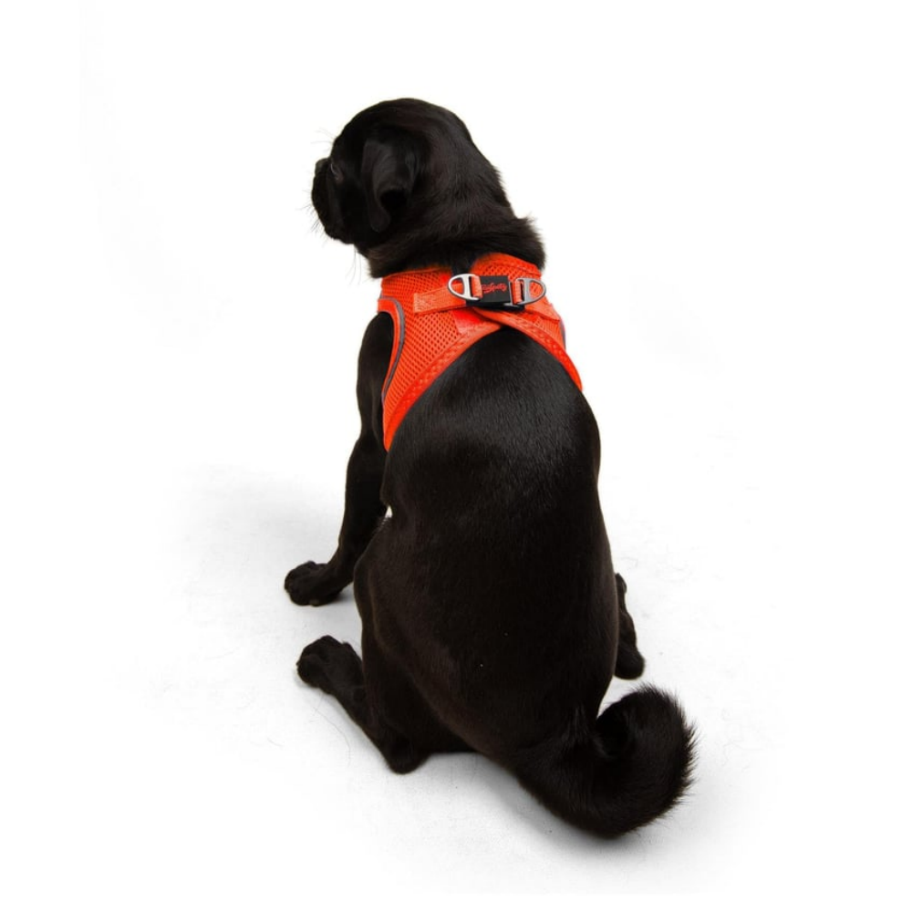 TailPetz Airmesh Neo Orange Köpek Göğüs Tasması M