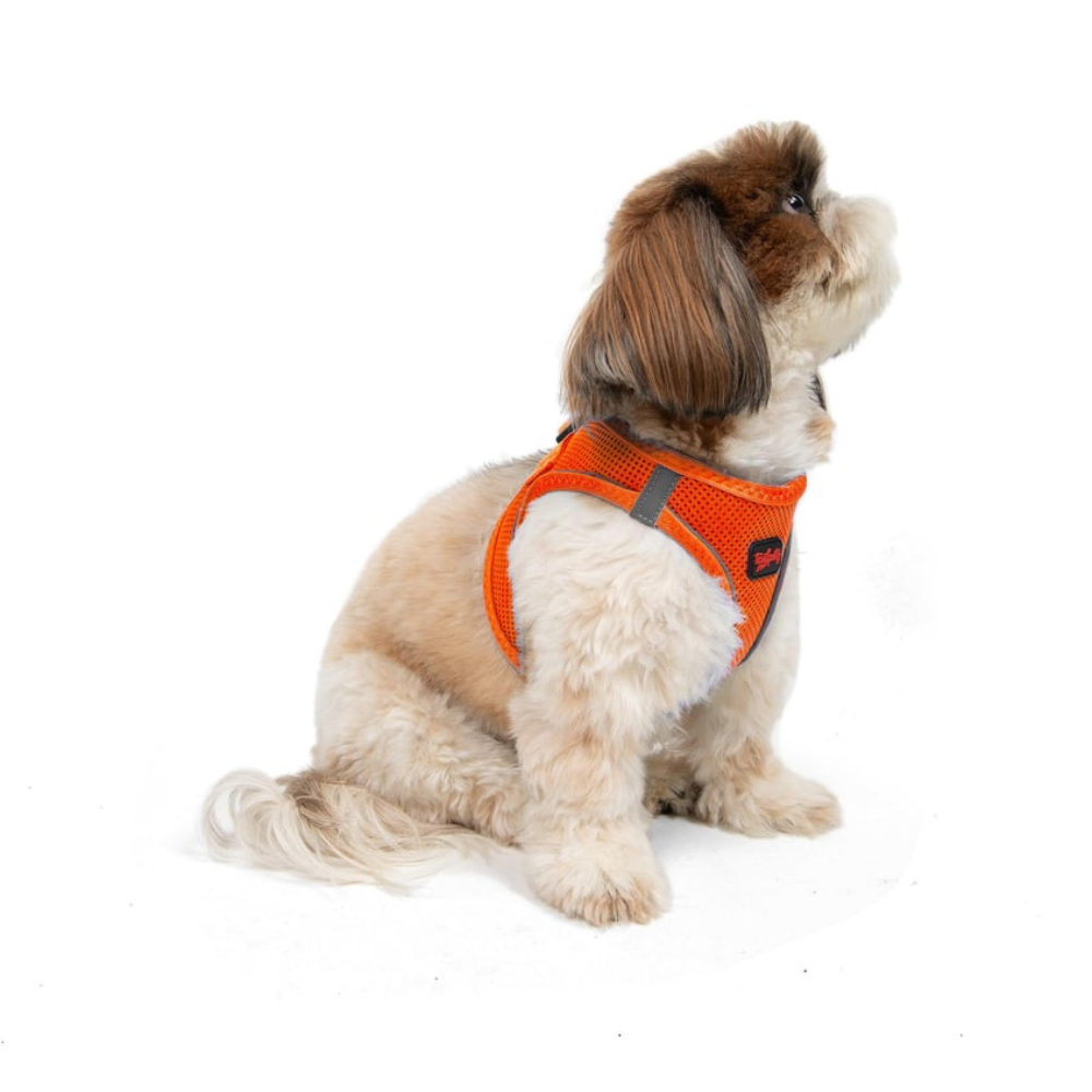 TailPetz Airmesh Neo Orange Köpek Göğüs Tasması S