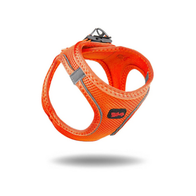 TailPetz Airmesh Neo Orange Köpek Göğüs Tasması S