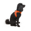 TailPetz Airmesh Neo Orange Köpek Göğüs Tasması XS