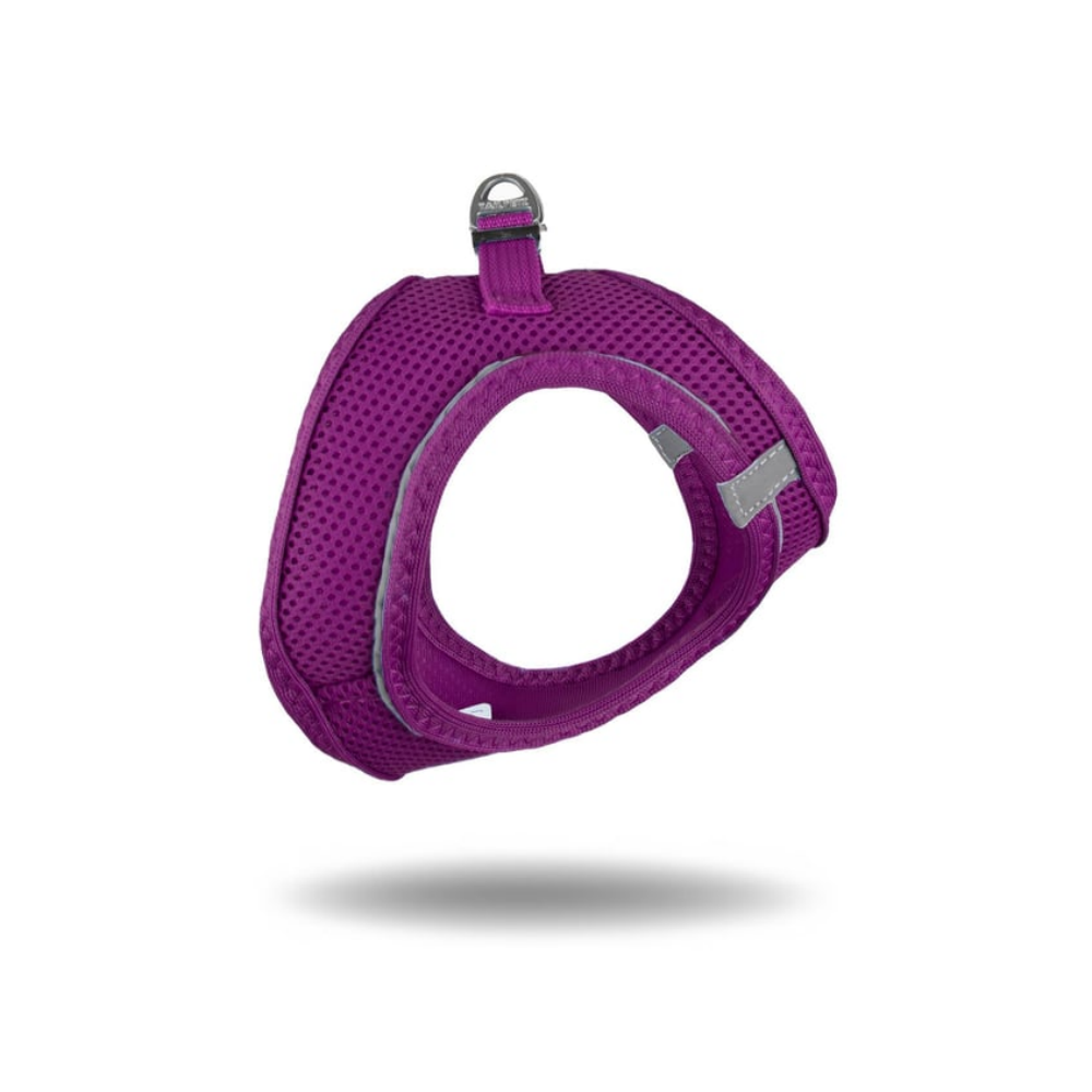 TailPetz Airmesh Purple Köpek Göğüs Tasması 2XS