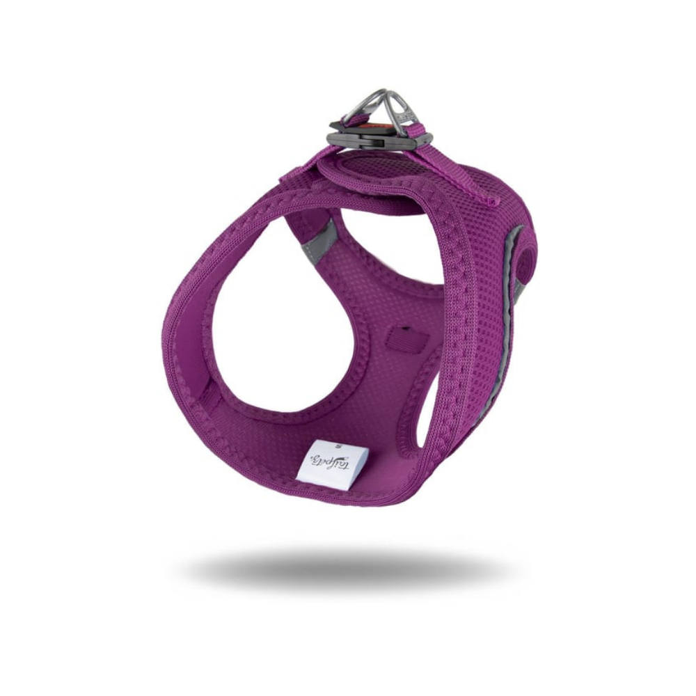 TailPetz Airmesh Purple Köpek Göğüs Tasması 3XS