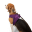 TailPetz Airmesh Purple Köpek Göğüs Tasması L