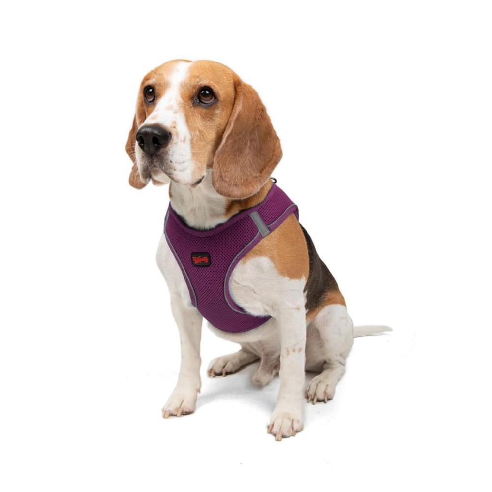 TailPetz Airmesh Purple Köpek Göğüs Tasması L