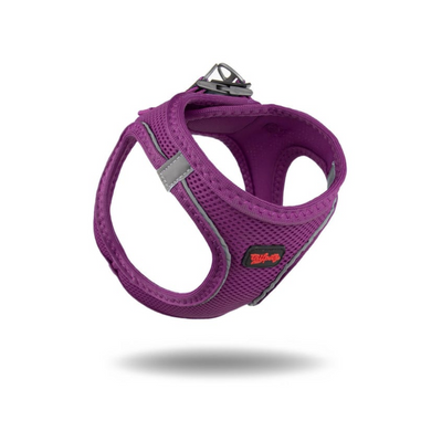 TailPetz Airmesh Purple Köpek Göğüs Tasması L