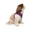 TailPetz Airmesh Purple Köpek Göğüs Tasması S