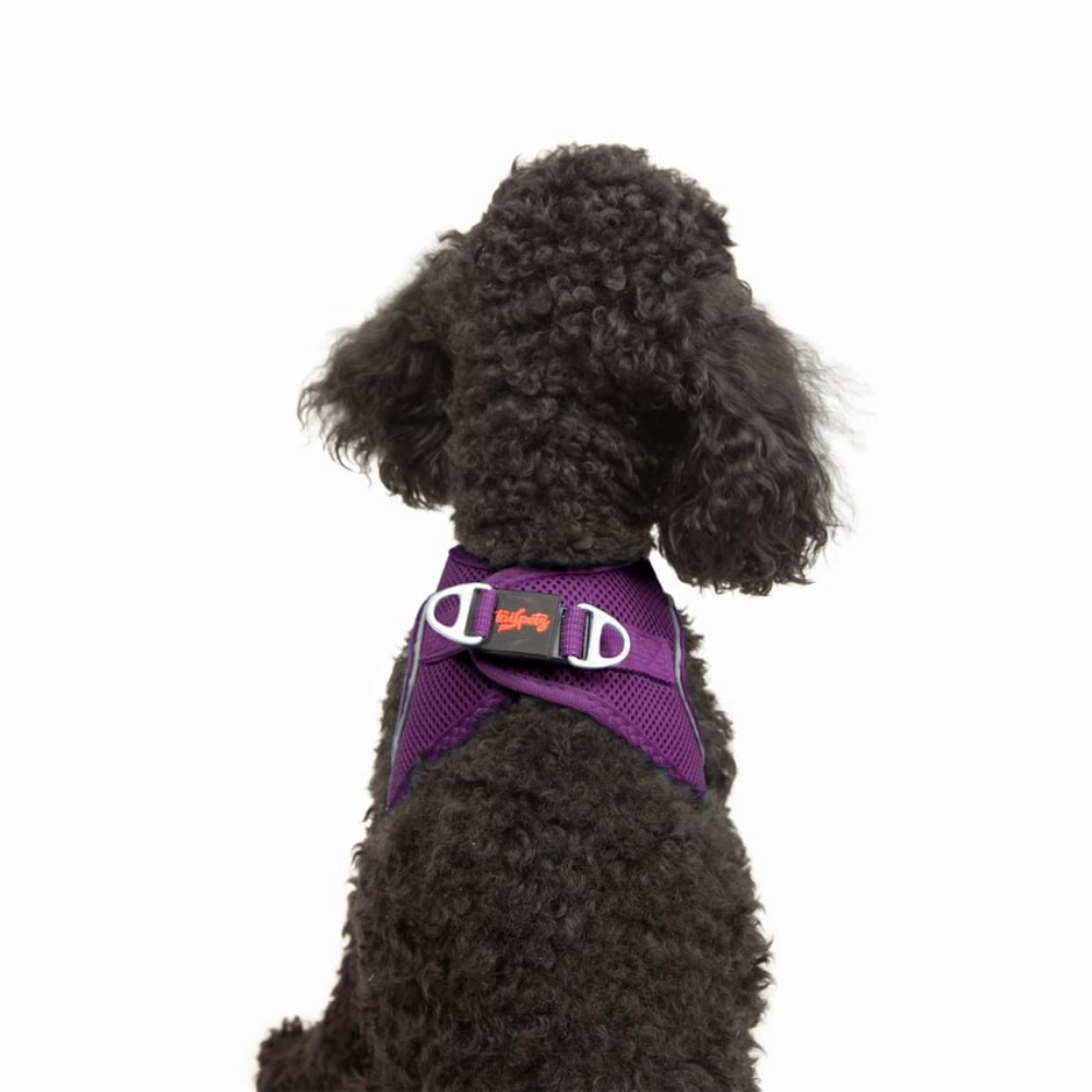 TailPetz Airmesh Purple Köpek Göğüs Tasması XS