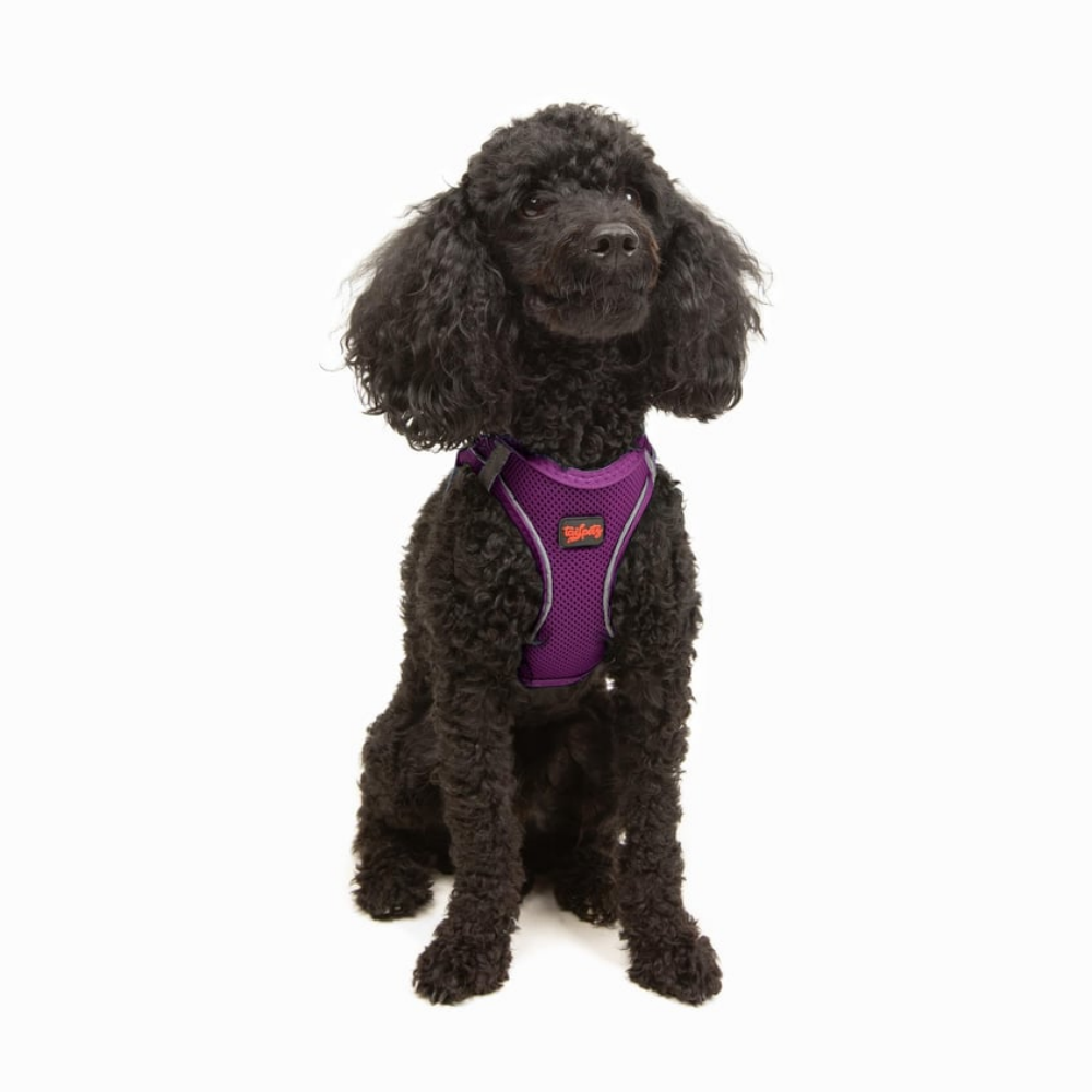 TailPetz Airmesh Purple Köpek Göğüs Tasması XS