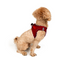 TailPetz Airmesh Red Köpek Göğüs Tasması 2XS