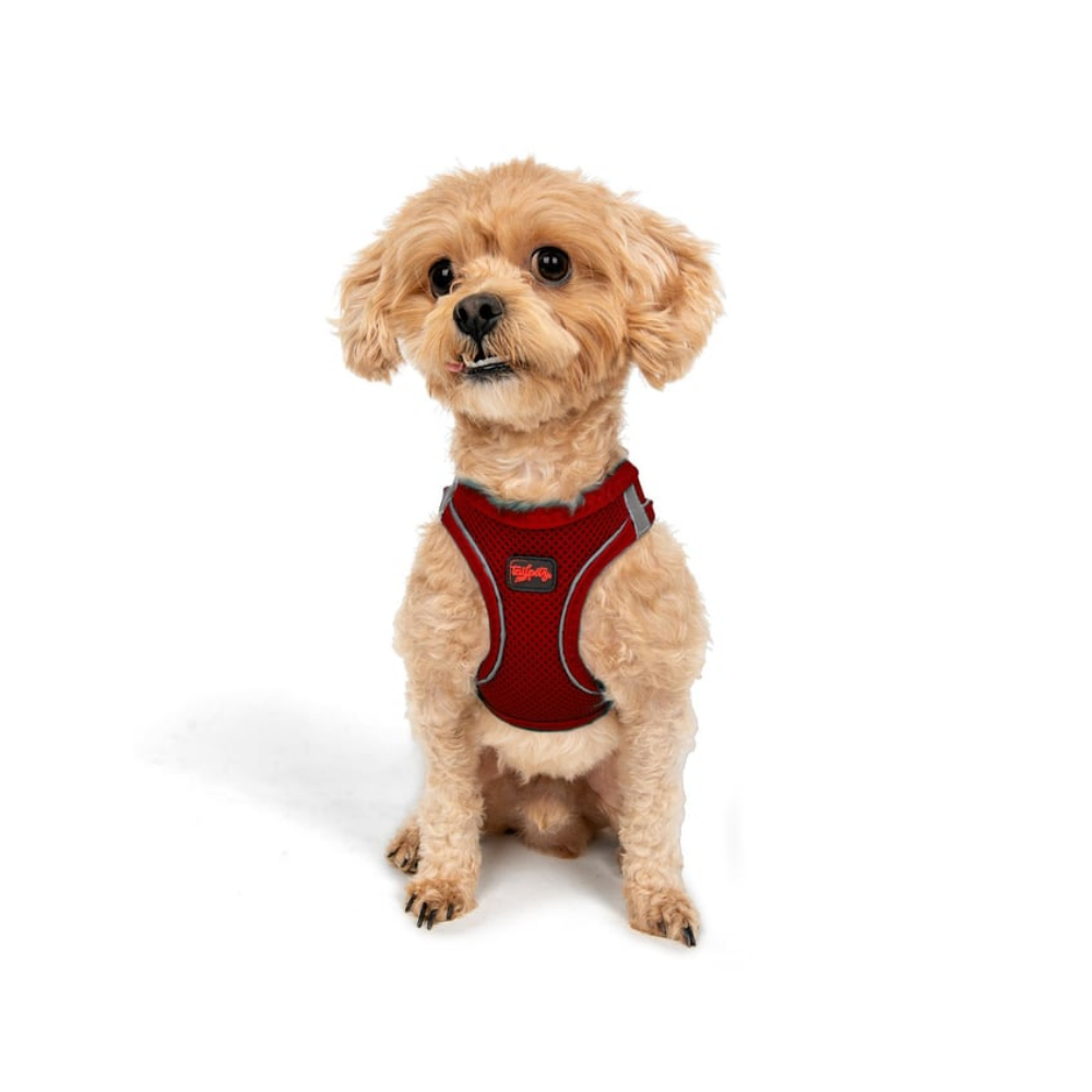 TailPetz Airmesh Red Köpek Göğüs Tasması 3XS