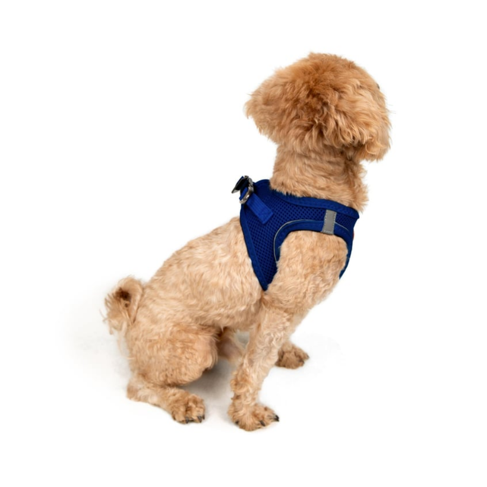 TailPetz Airmesh Sax Köpek Göğüs Tasması 3XS