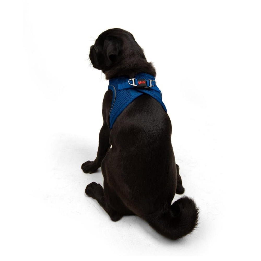 TailPetz Airmesh Sax Köpek Göğüs Tasması M