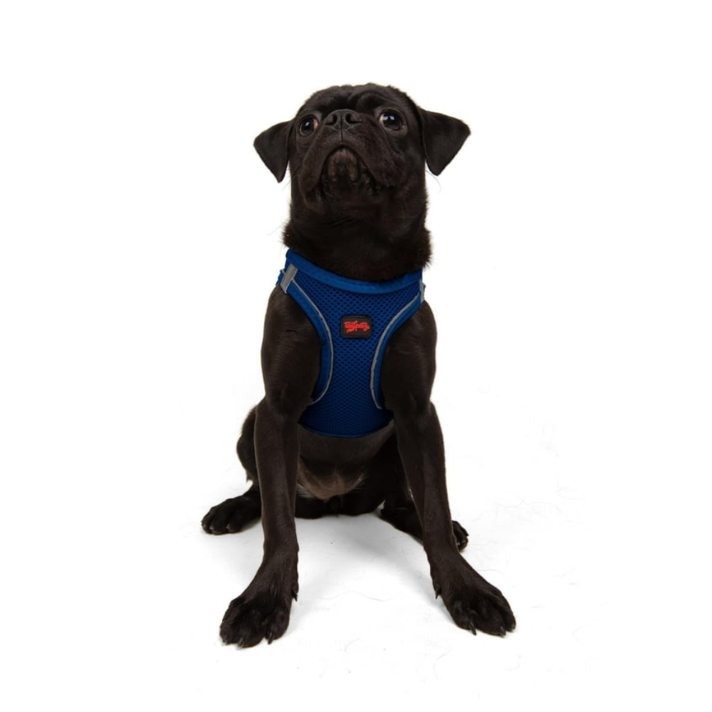 TailPetz Airmesh Sax Köpek Göğüs Tasması M