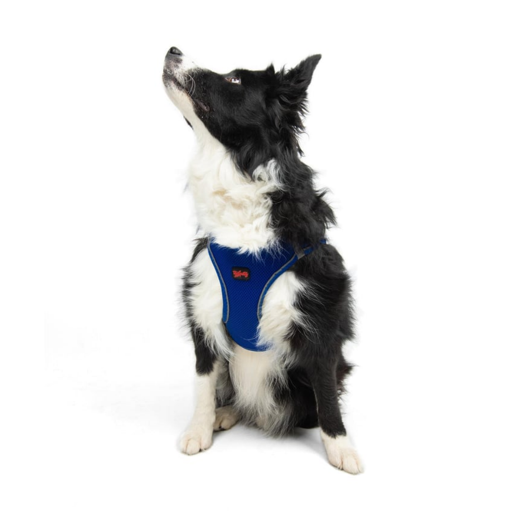 TailPetz Airmesh Sax Köpek Göğüs Tasması XL