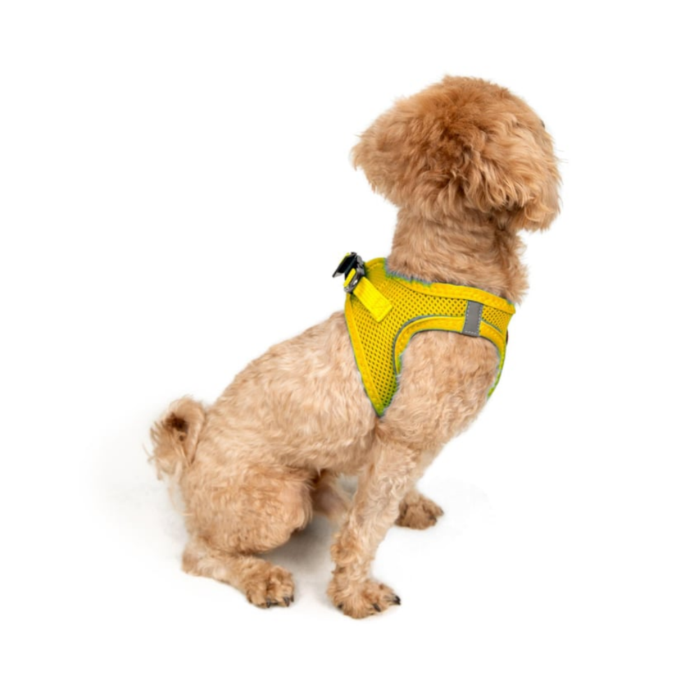 Tailpetz Airmesh Harness Yellow Köpek Göğüs Tasması 2XS