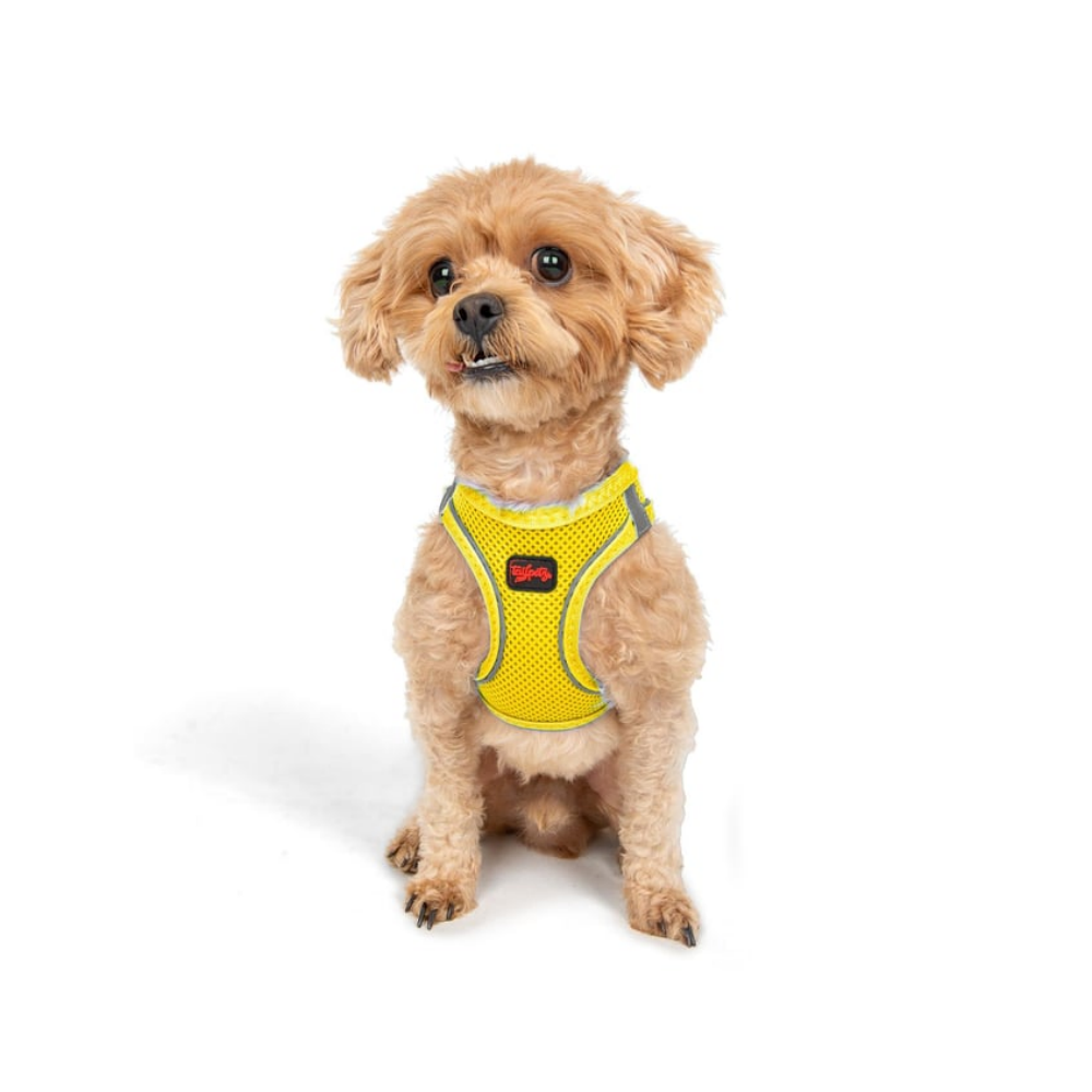 Tailpetz Airmesh Harness Yellow Köpek Göğüs Tasması 2XS