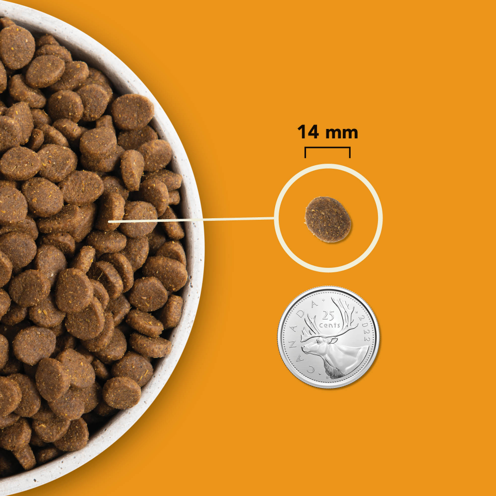 Acana Regionals - Wild Prairie Köpek Maması 2 Kg - Tüm Irk Ve Yaşam Evreleri İçin
