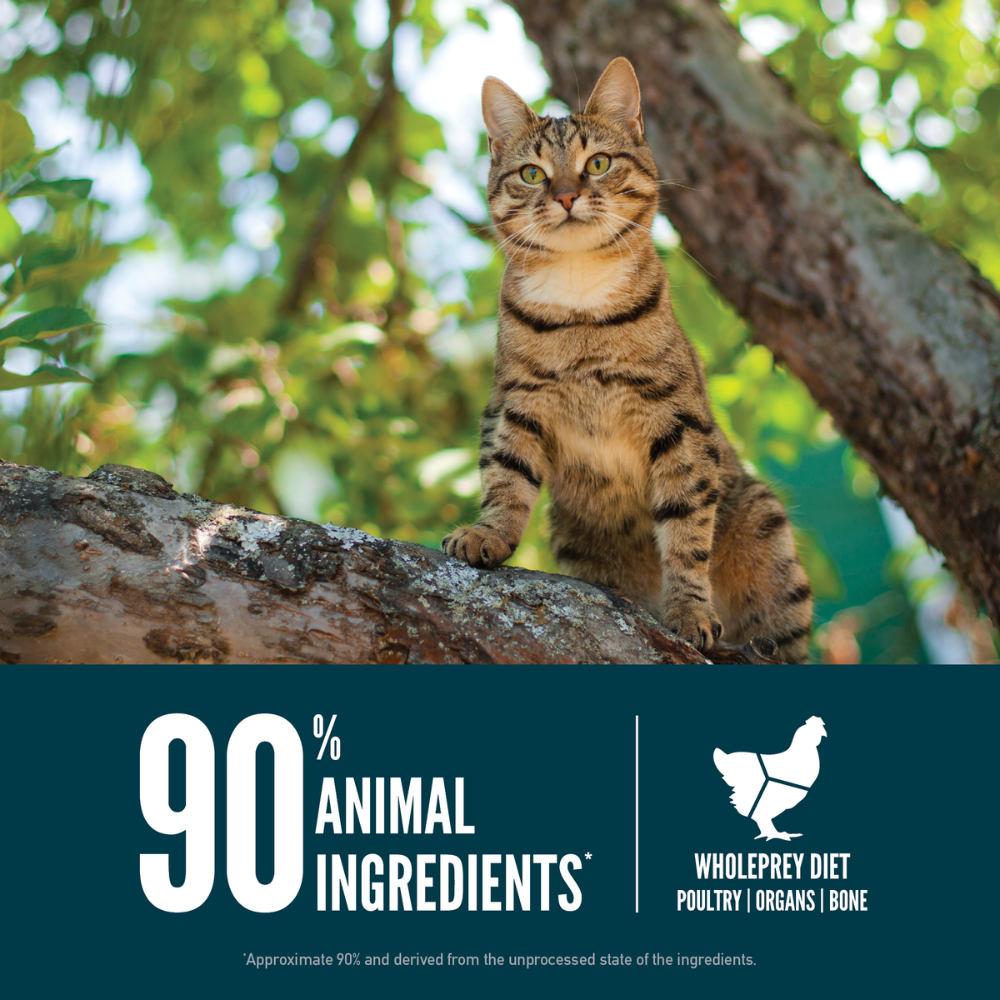 Orijen Guardian8 1.8 Kg - Yetişkin Kedi Maması