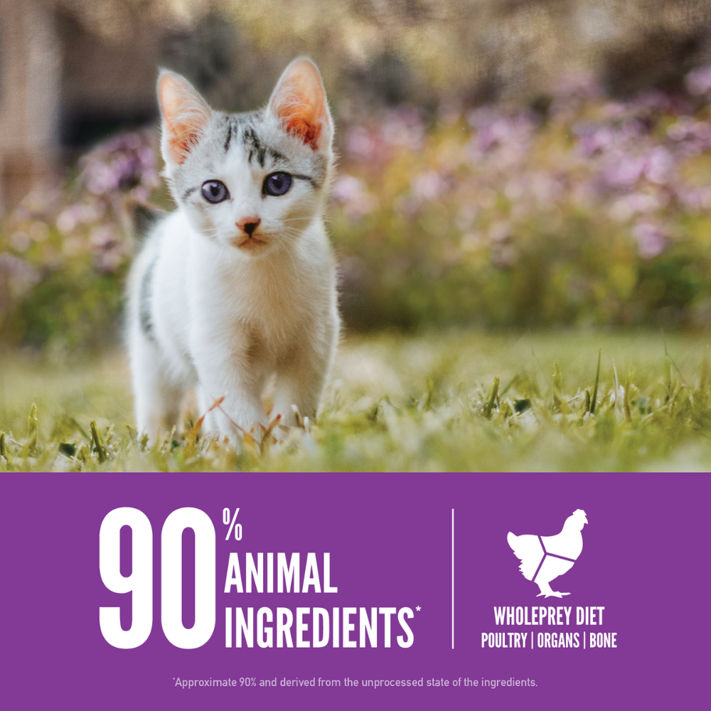 Orijen Kitten 1,8 Kg - Yavru Kedi Maması