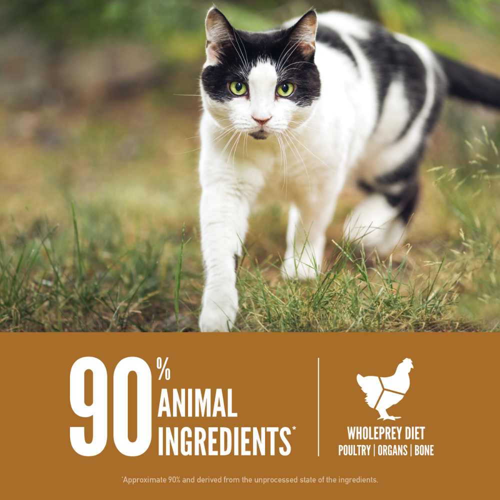 Orijen Cat & Kitten 1.8 Kg - Yavru Ve Yetişkin Kedi Maması - Tüm Irk Ve Yaşam Evreleri İçin