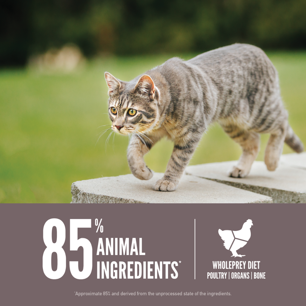 Orijen Fit & Trim Kedi Maması 1.8 Kg - Fazla kilolu kediler için