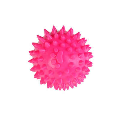 Zampa Köpekler İçin Kirpi Top, 6.2cm